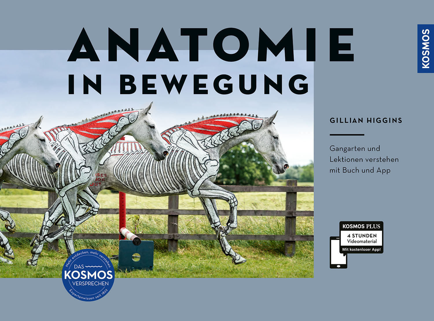 Anatomy in Motion