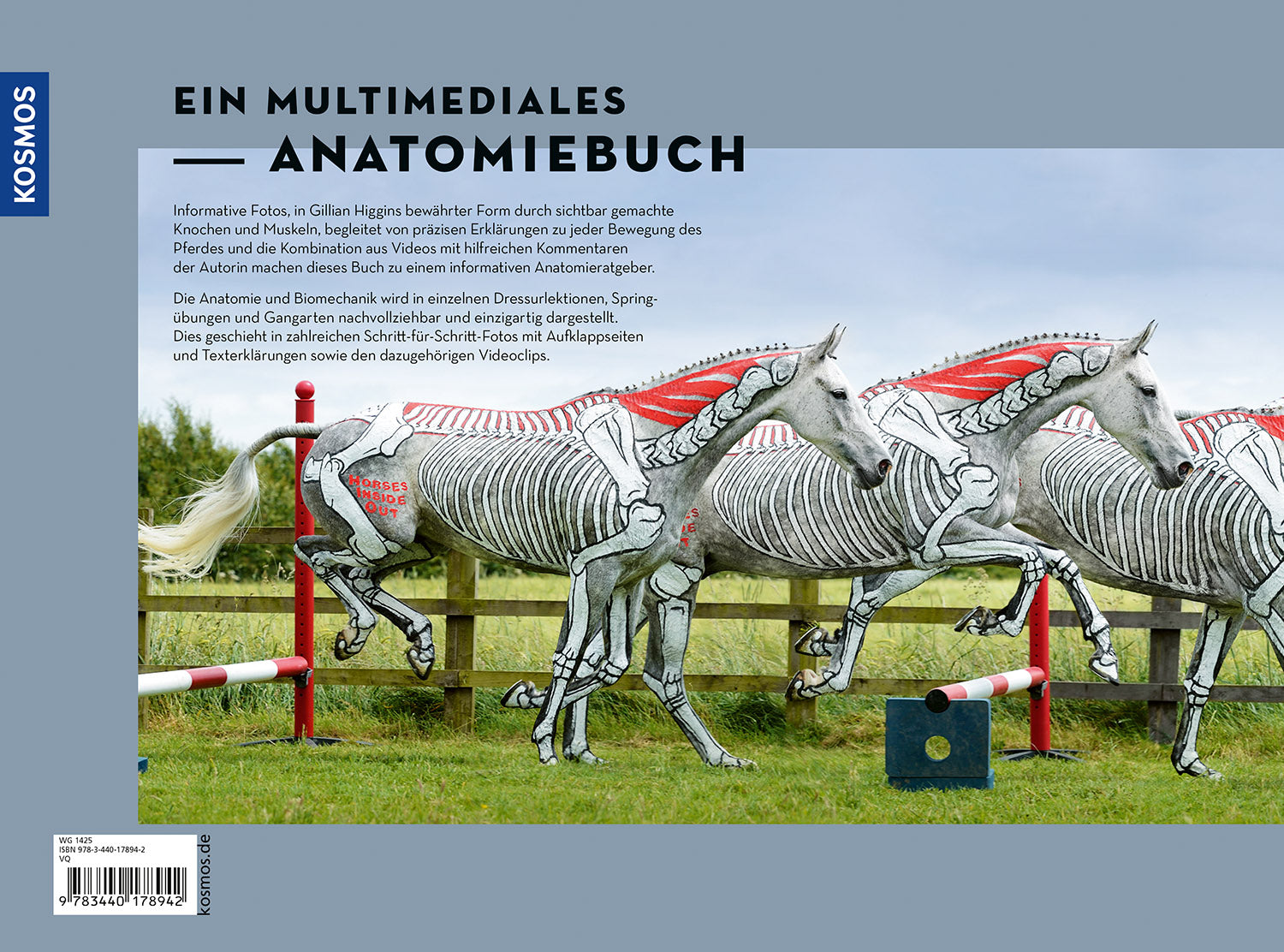 Anatomie in Bewegung