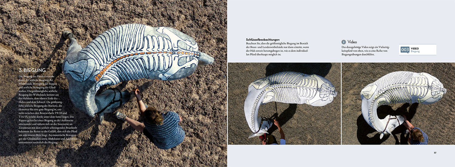 Anatomie in Bewegung