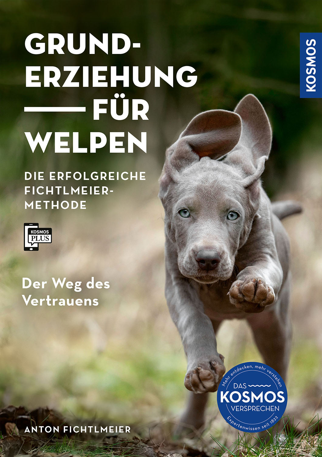 Basic Training for Puppies