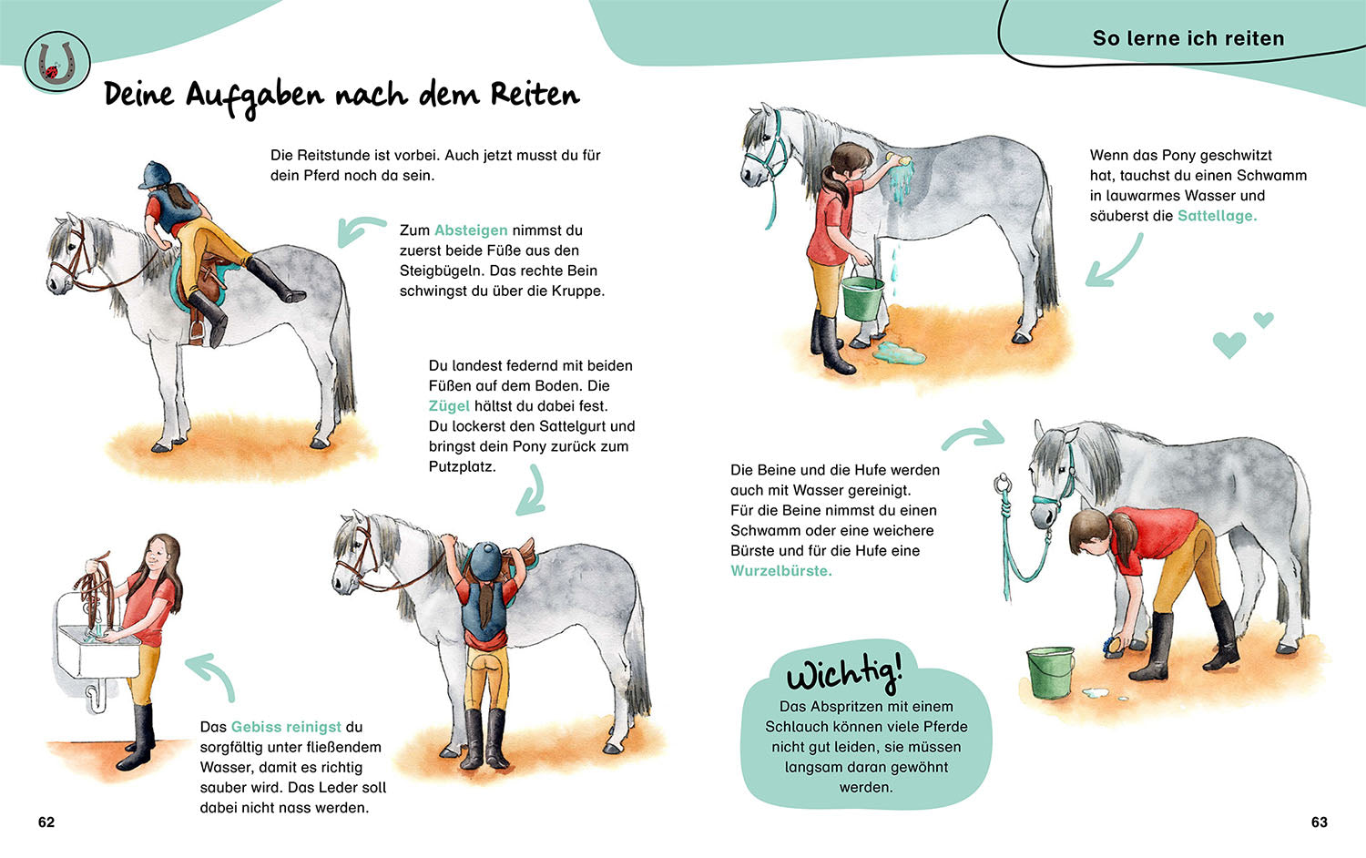 Mein erstes Pferdebuch