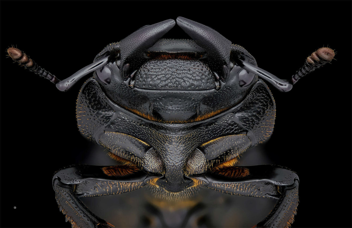 Von Angesicht zu Angesicht