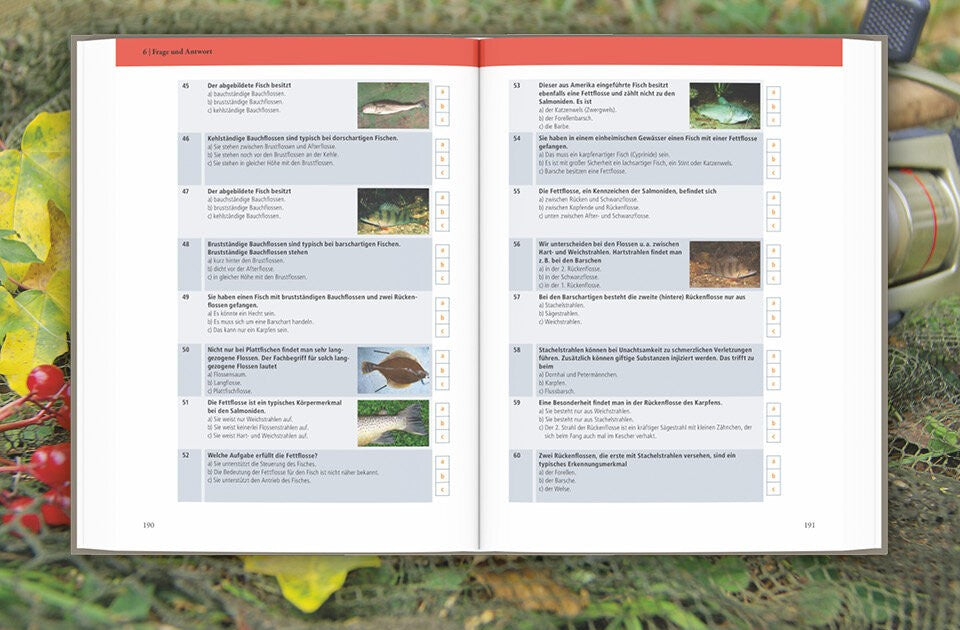 Gut vorbereitet mit Fragenkatalog und Online-Test