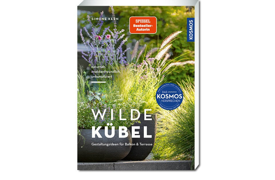 Gestaltungsideen für Balkon & Terrasse