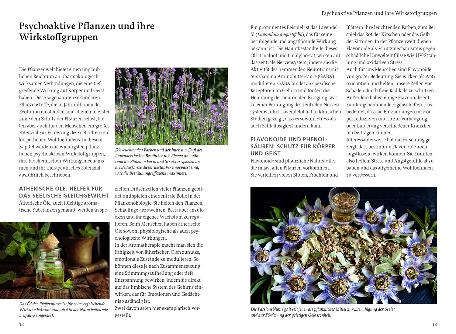 Wild Plants for Mental Health