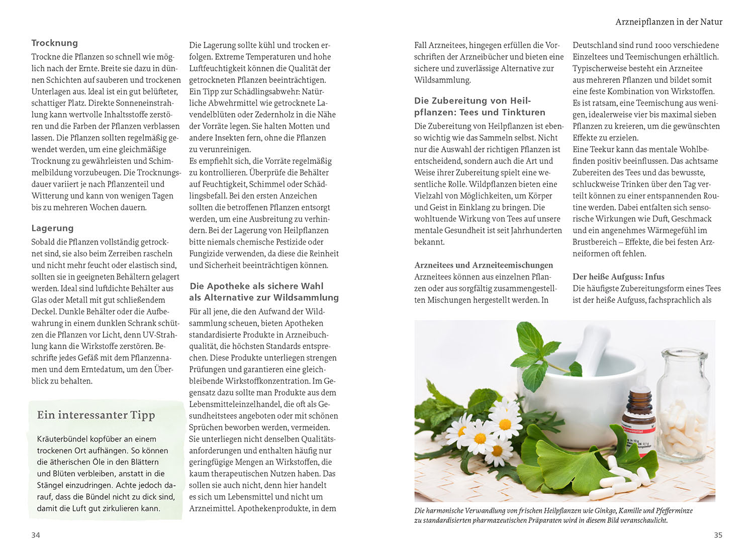 Wild Plants for Mental Health