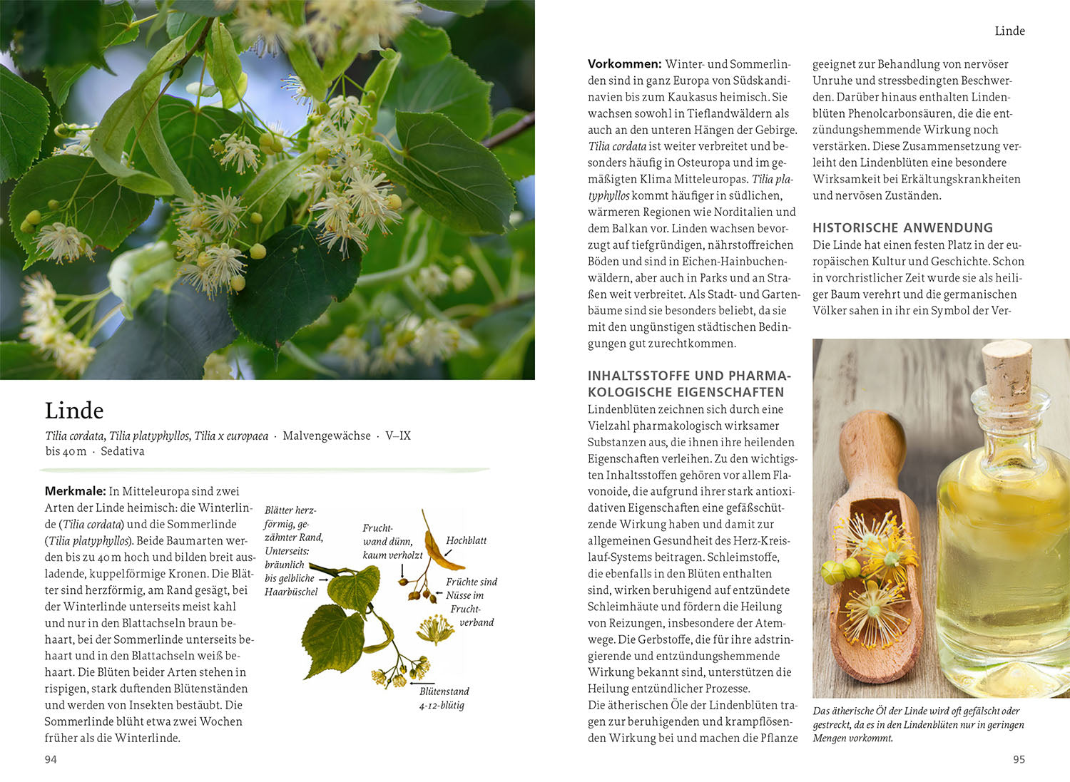 Wild Plants for Mental Health