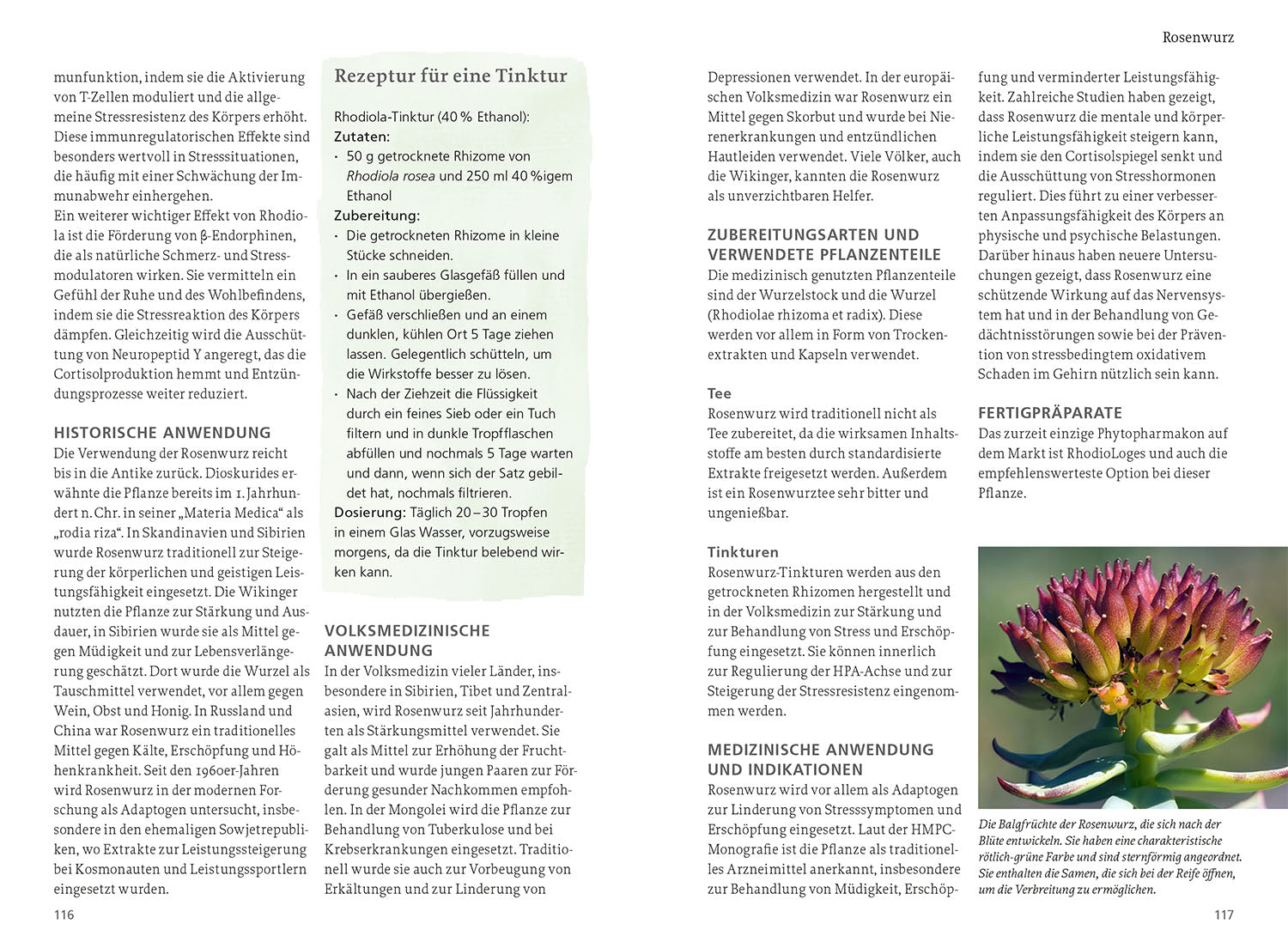 Wild Plants for Mental Health