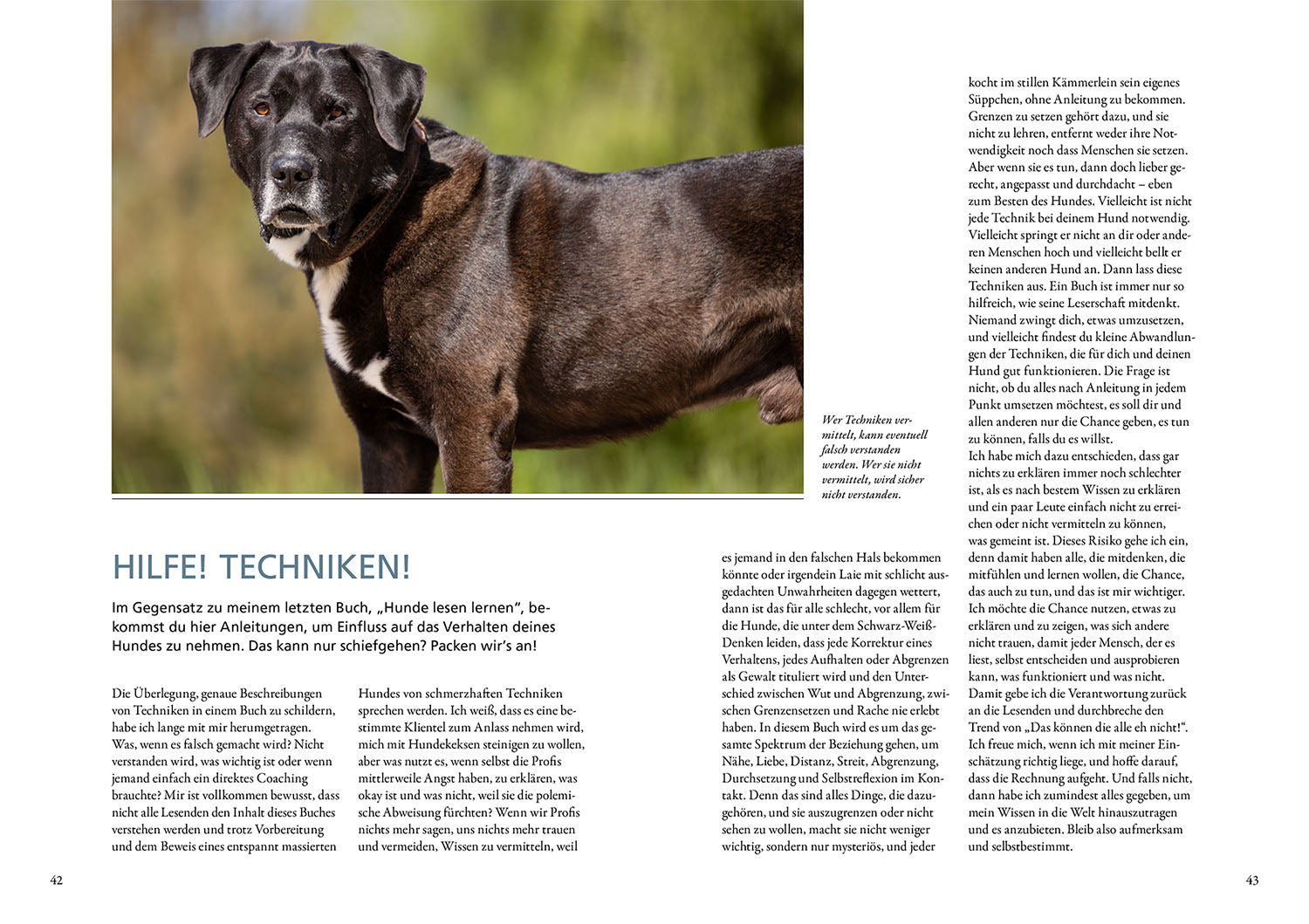 Hunde fühlen und anleiten