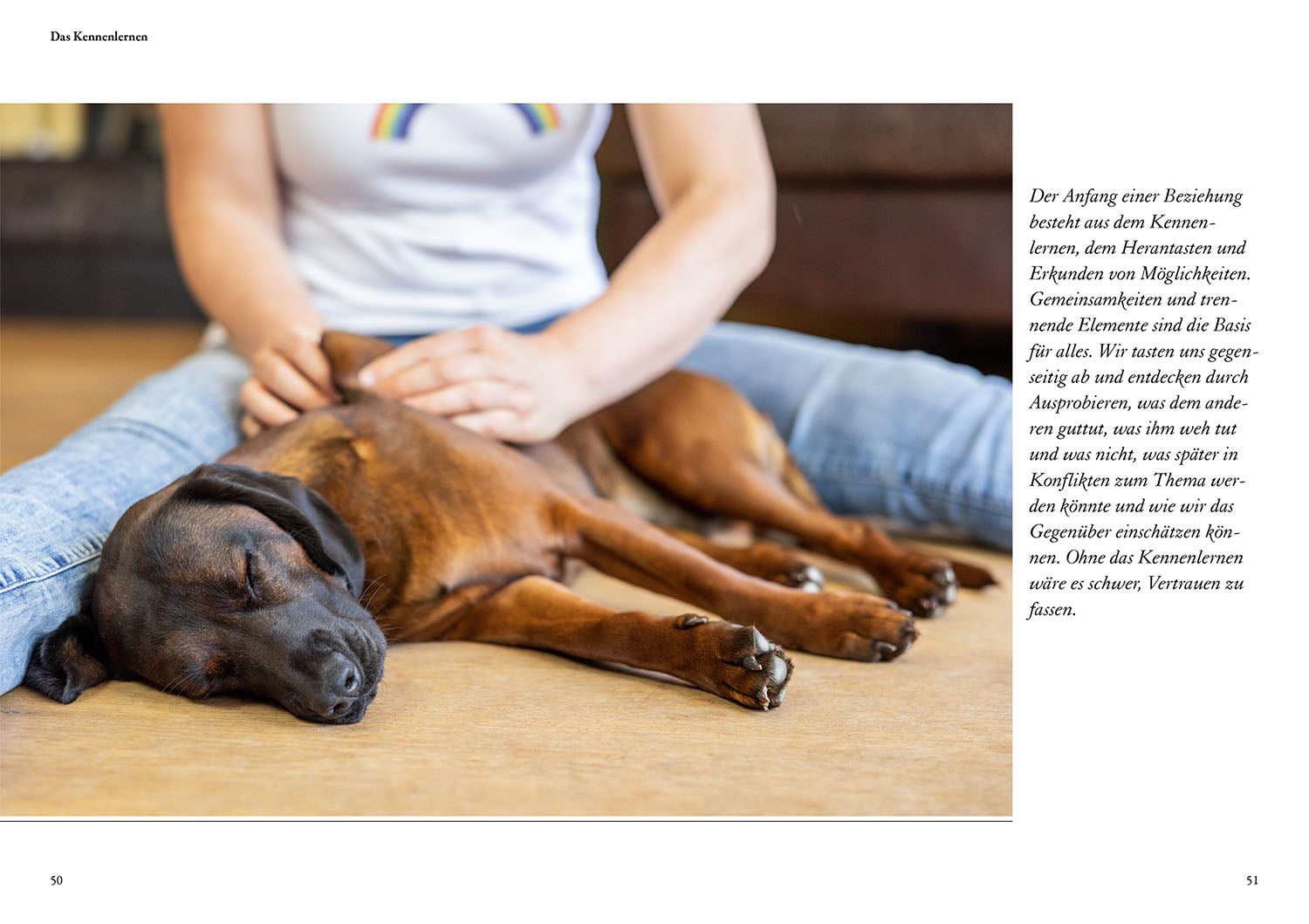Hunde fühlen und anleiten