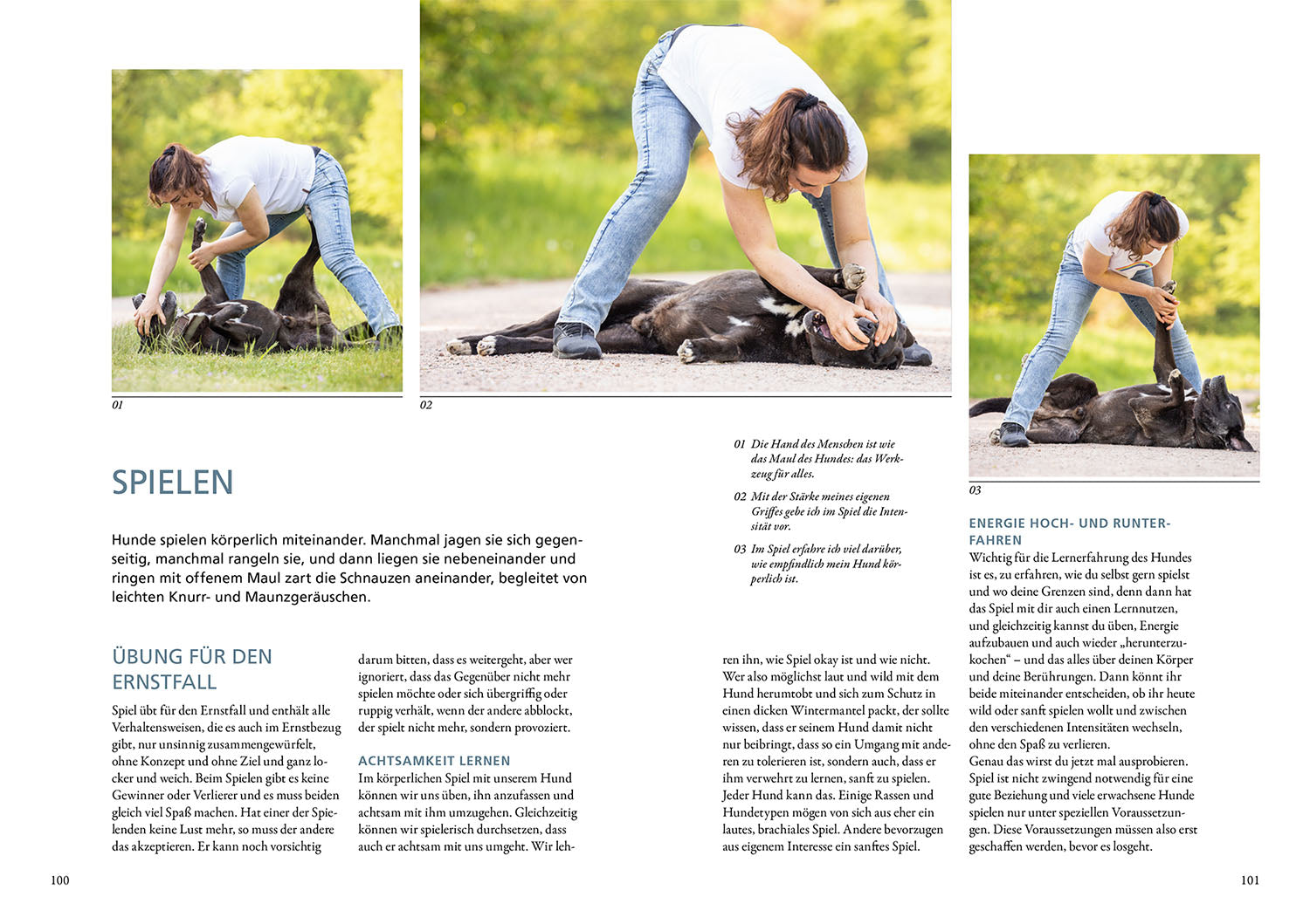 Hunde fühlen und anleiten