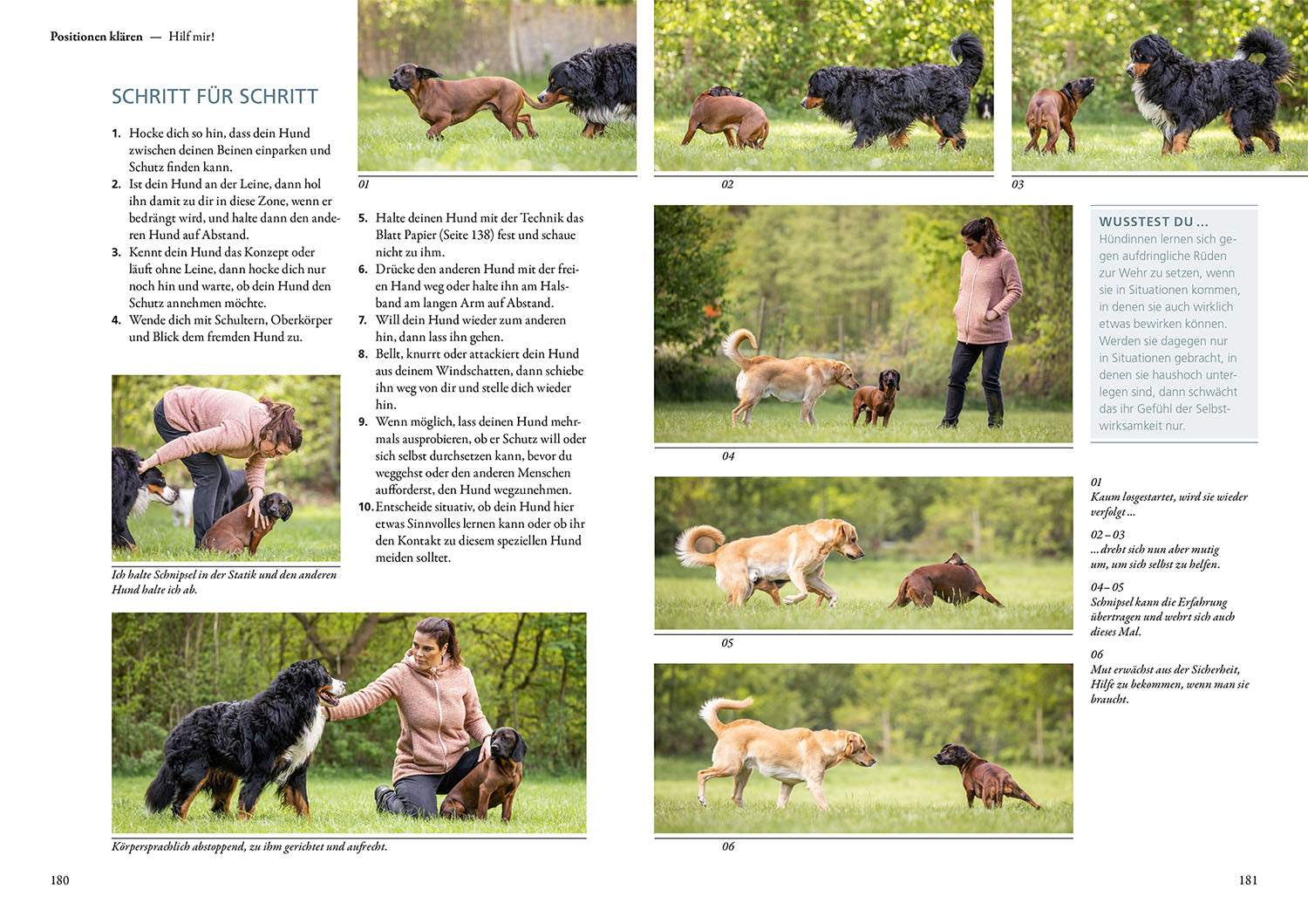 Hunde fühlen und anleiten
