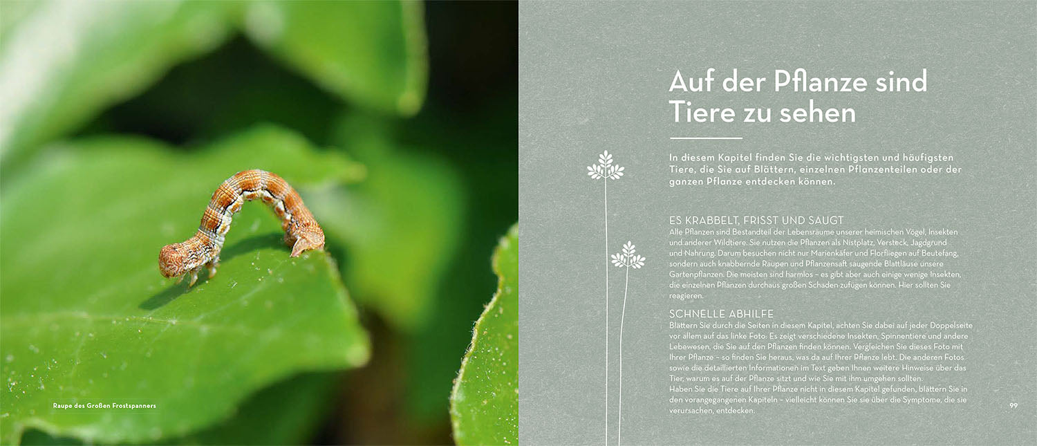 Bist du noch zu retten?