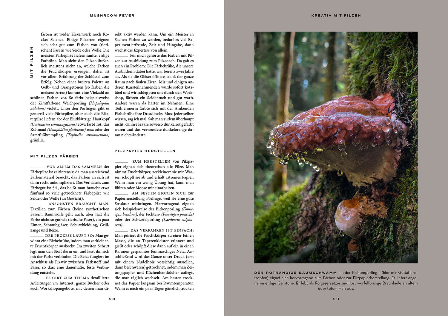 Mushroom Fever