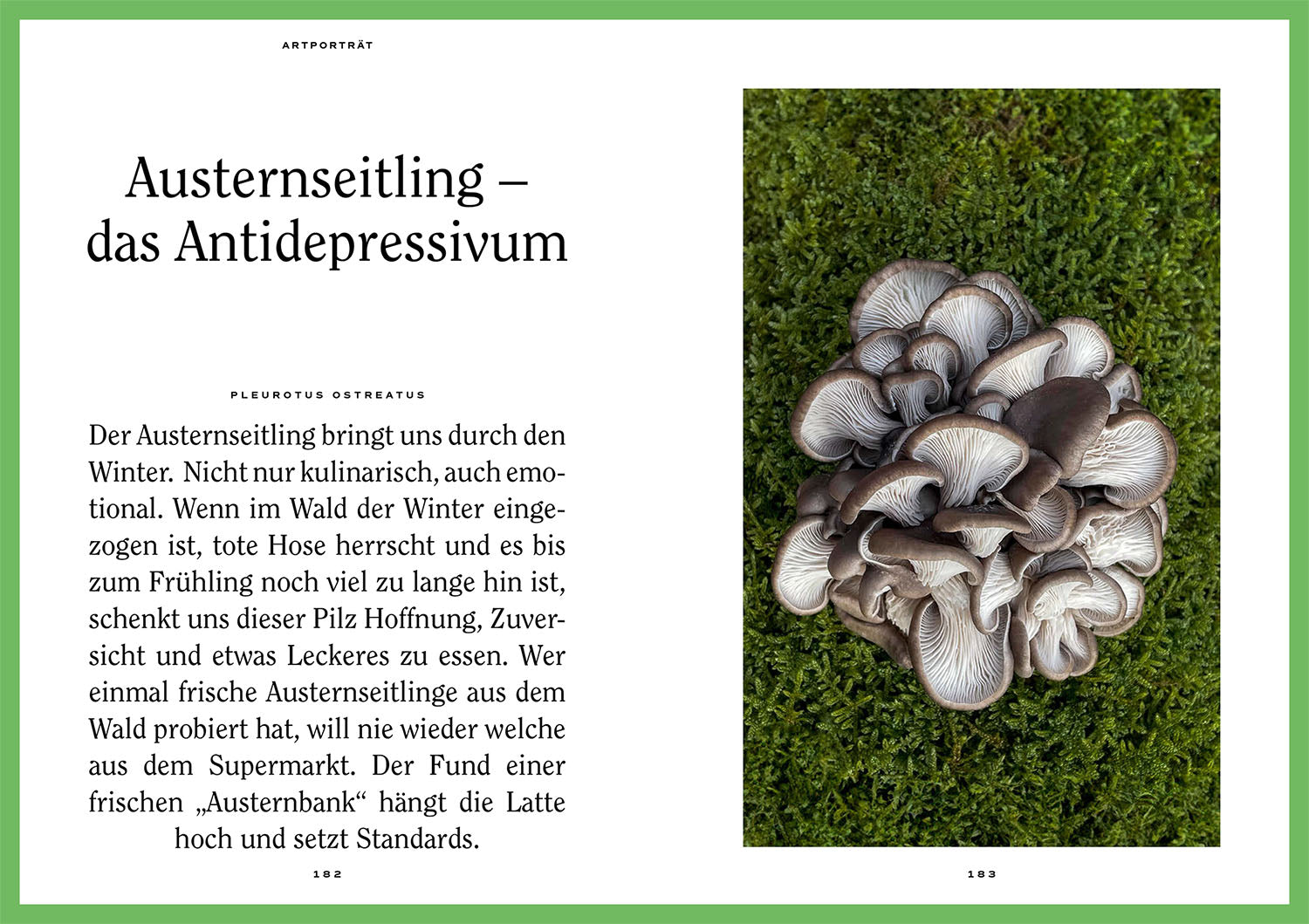 Mushroom Fever