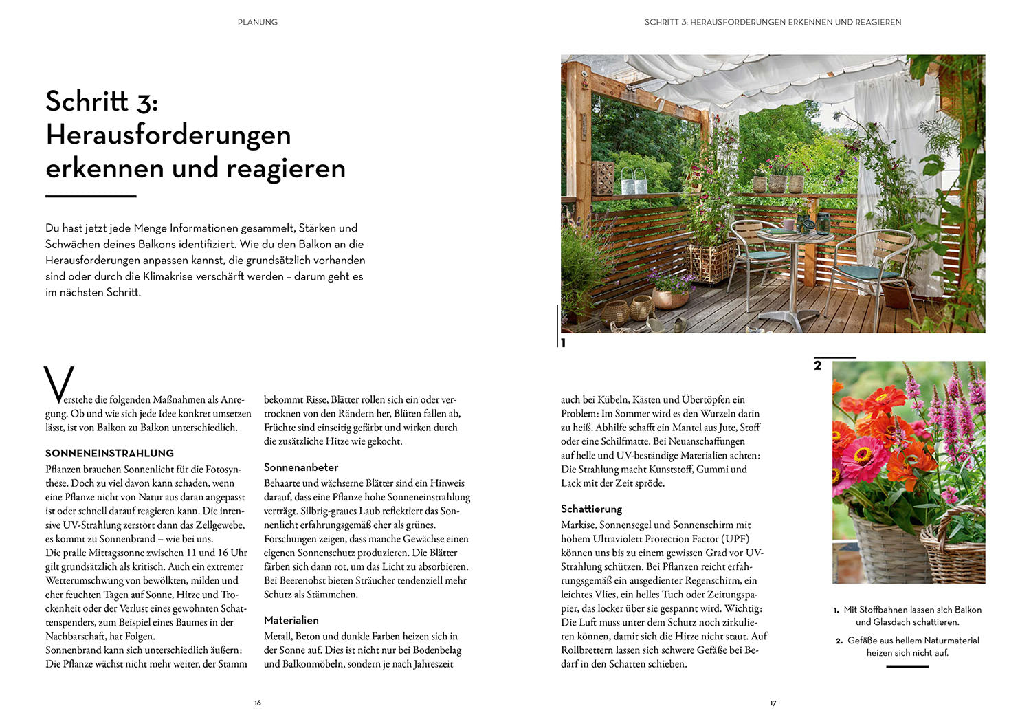 Klimahelden auf dem Balkon