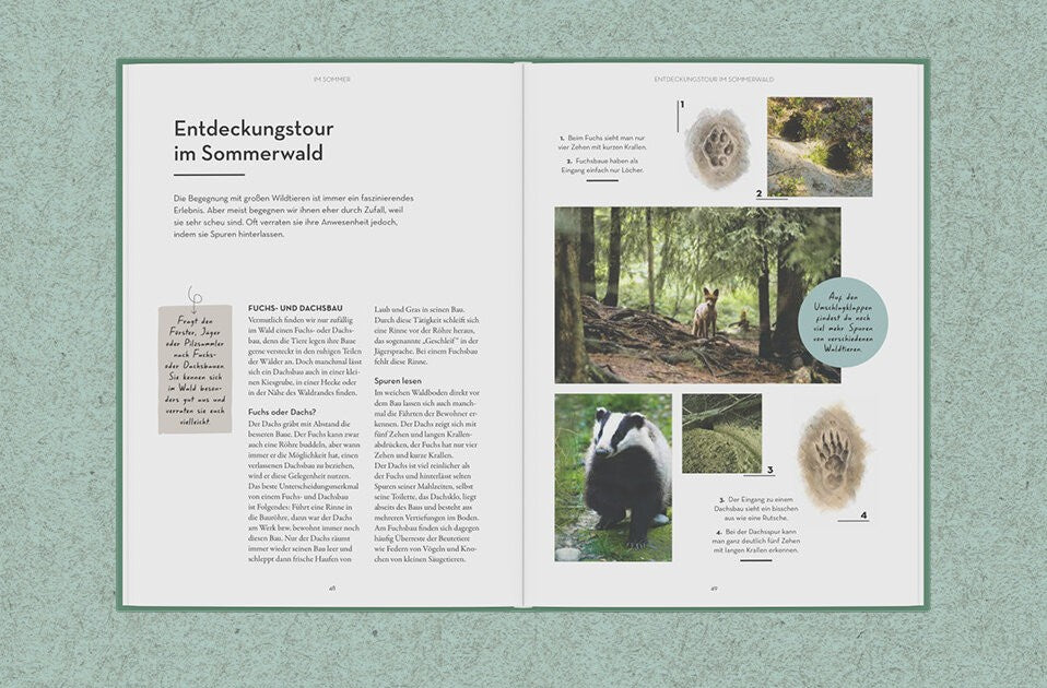 Ab in den Wald