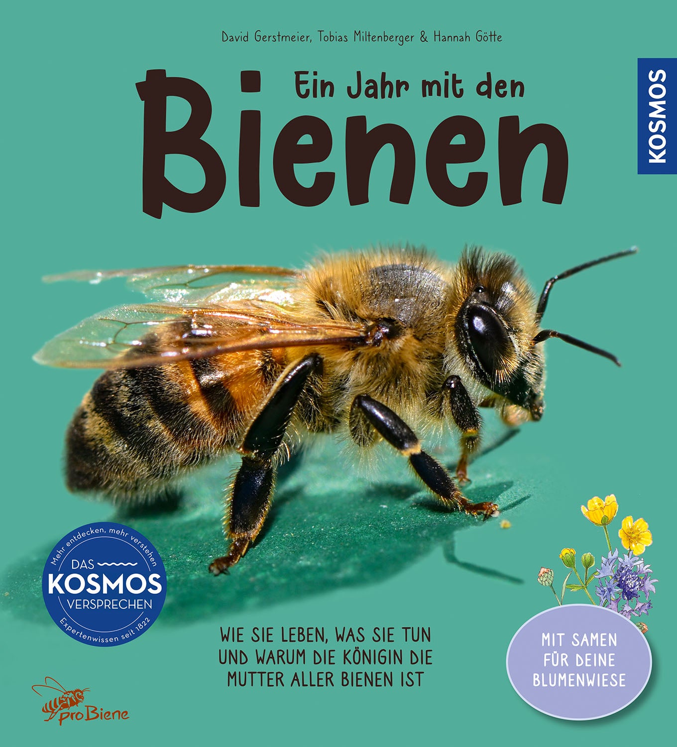 A Year With the Bees