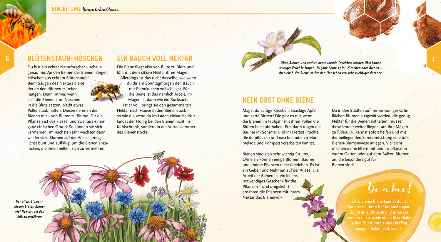 Ein Jahr mit den Bienen