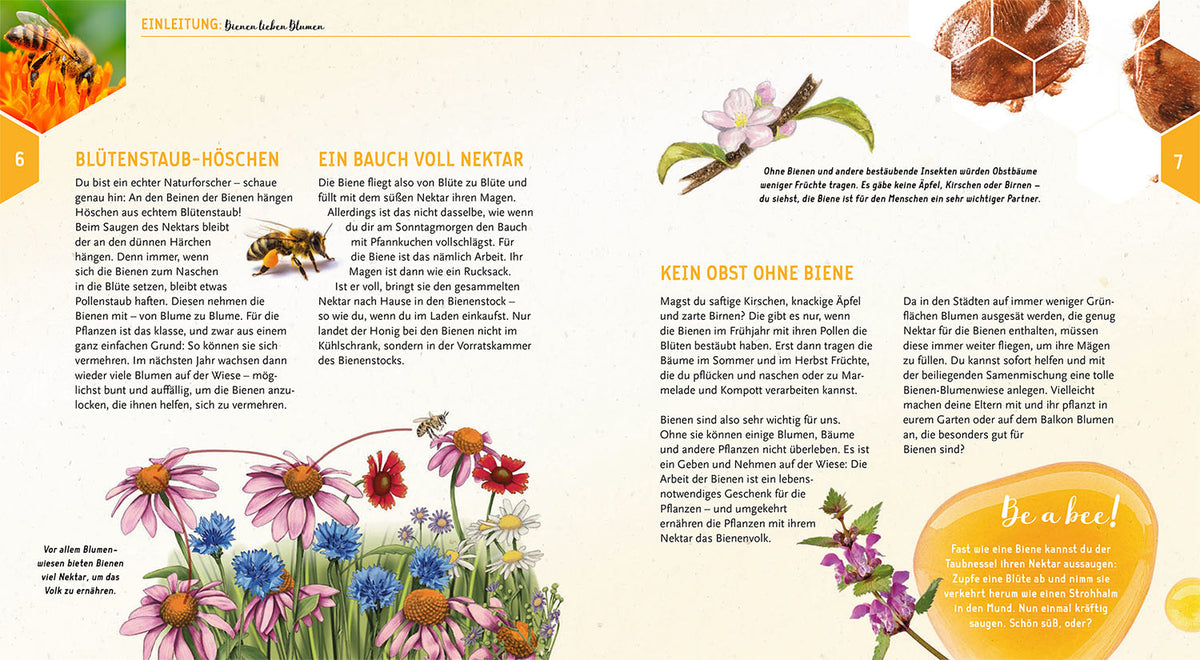 Ein Jahr mit den Bienen
