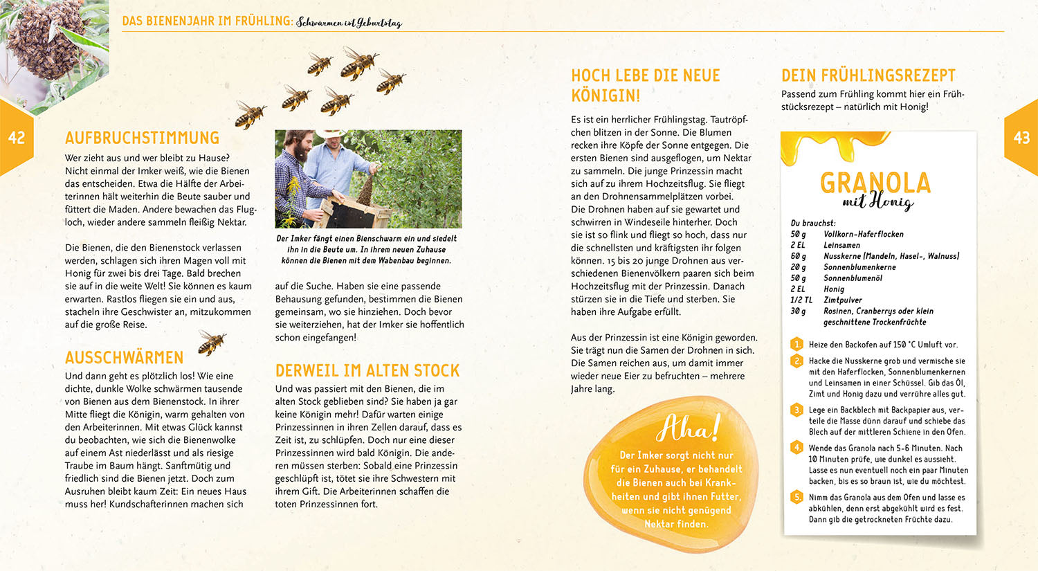 Ein Jahr mit den Bienen