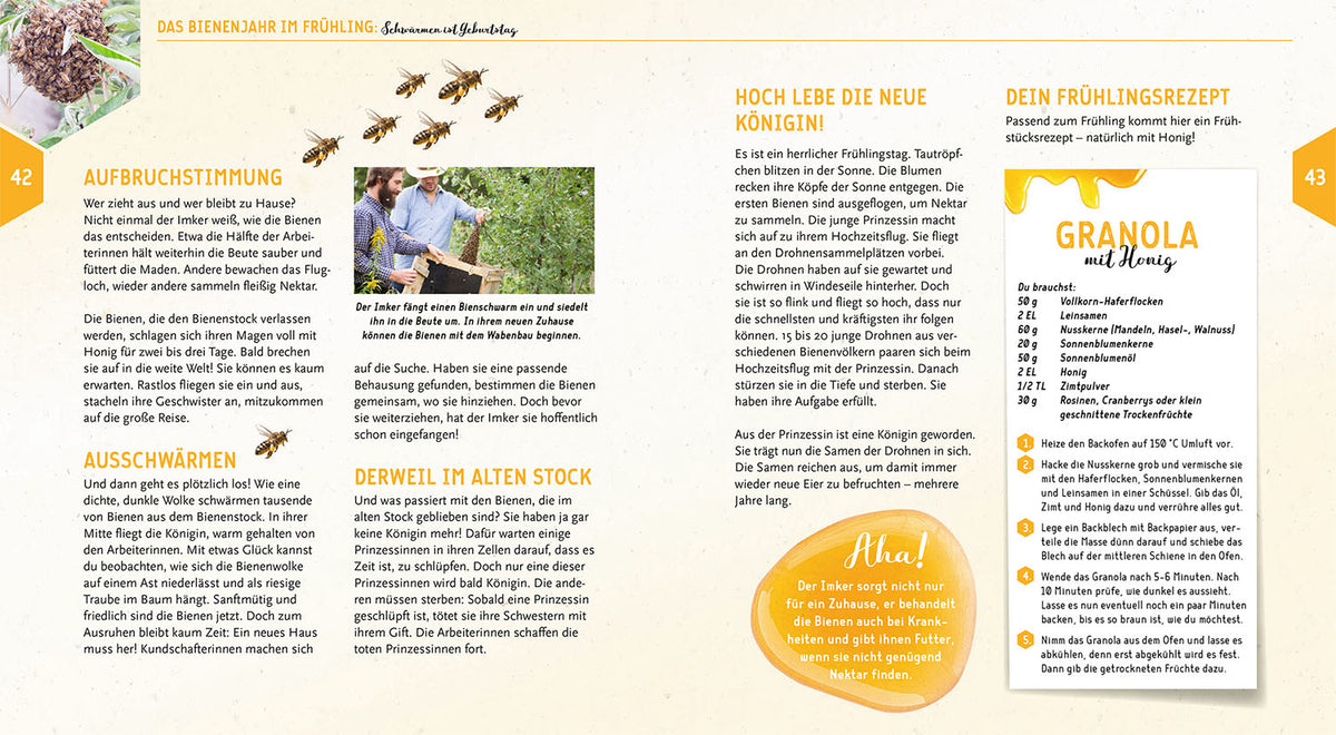Ein Jahr mit den Bienen
