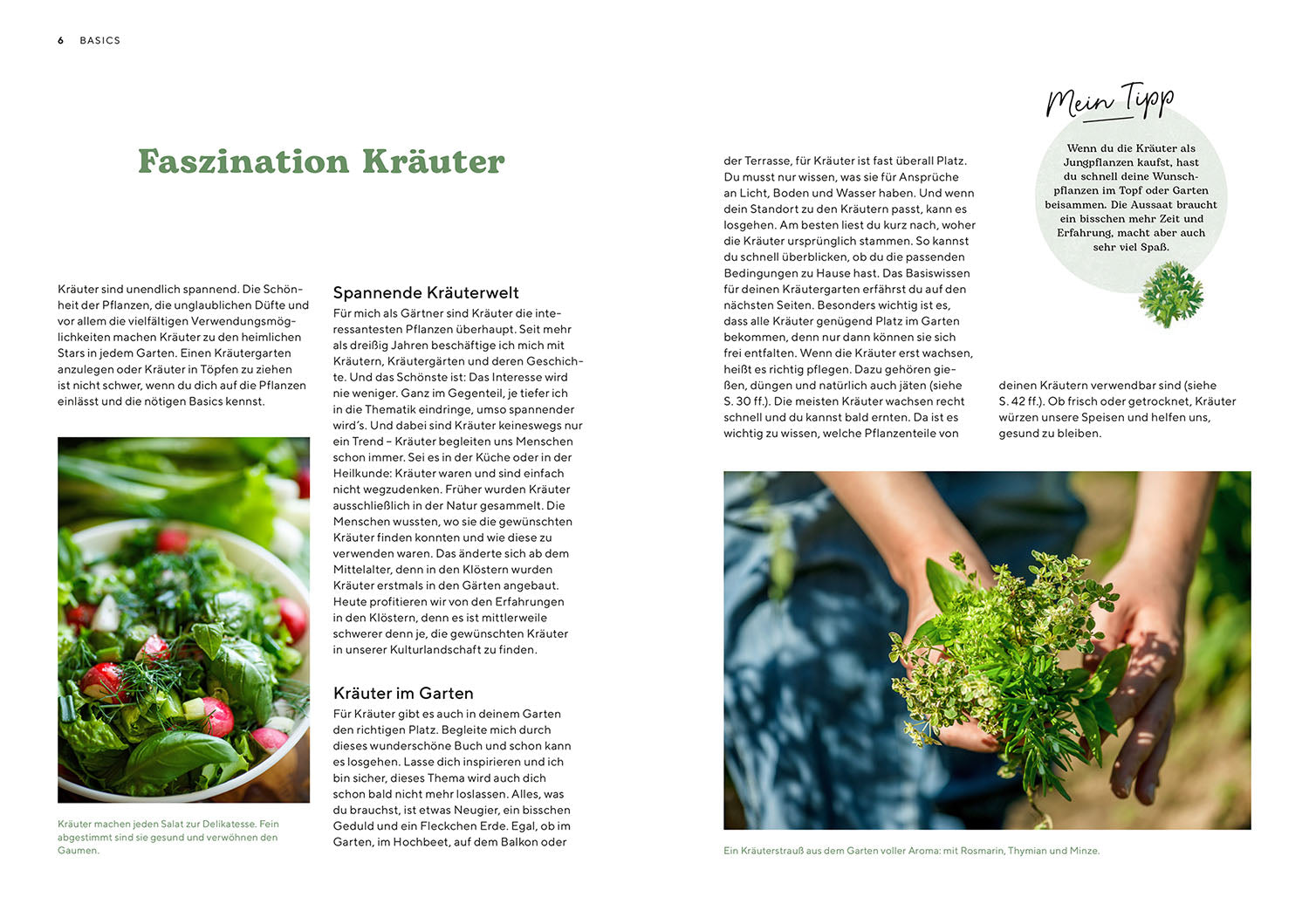 Kräutergarten