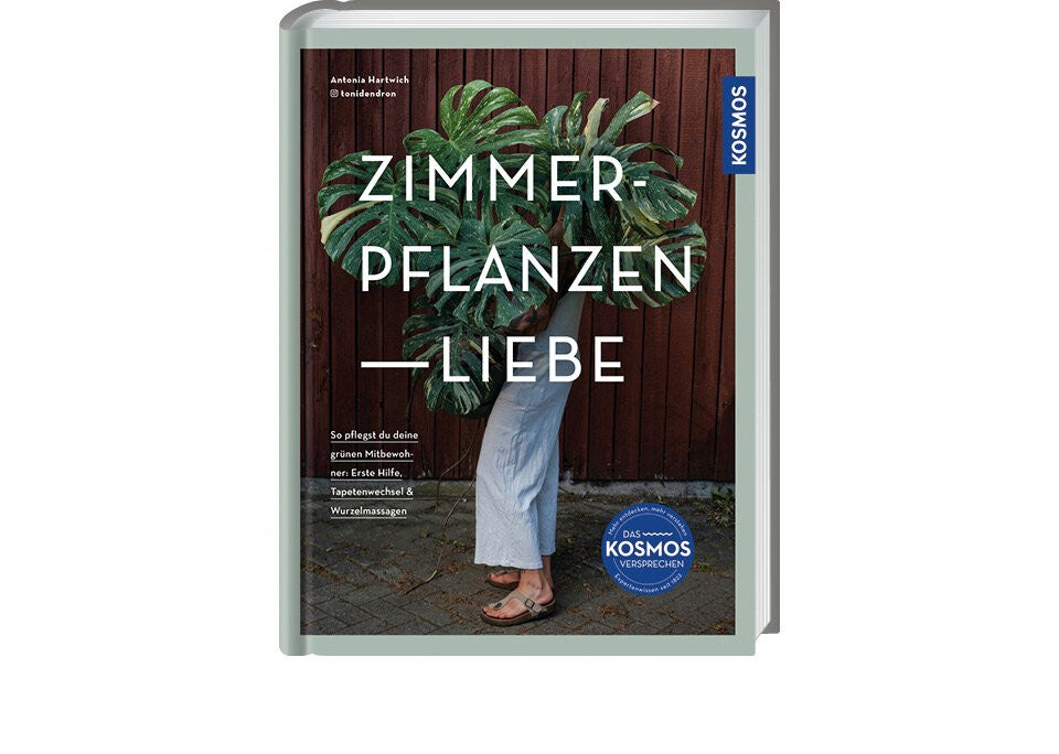 Die besten Zimmerpflanzen für deinen Urban Jungle