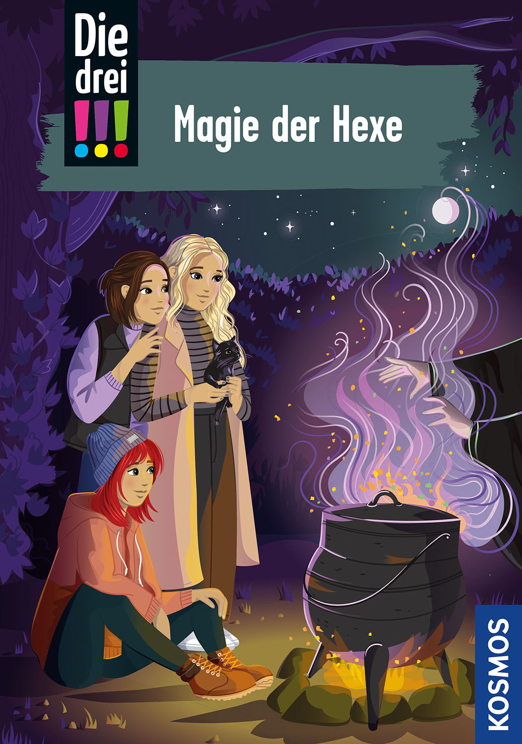 The Three Investigators, 113, Magic of the Witch