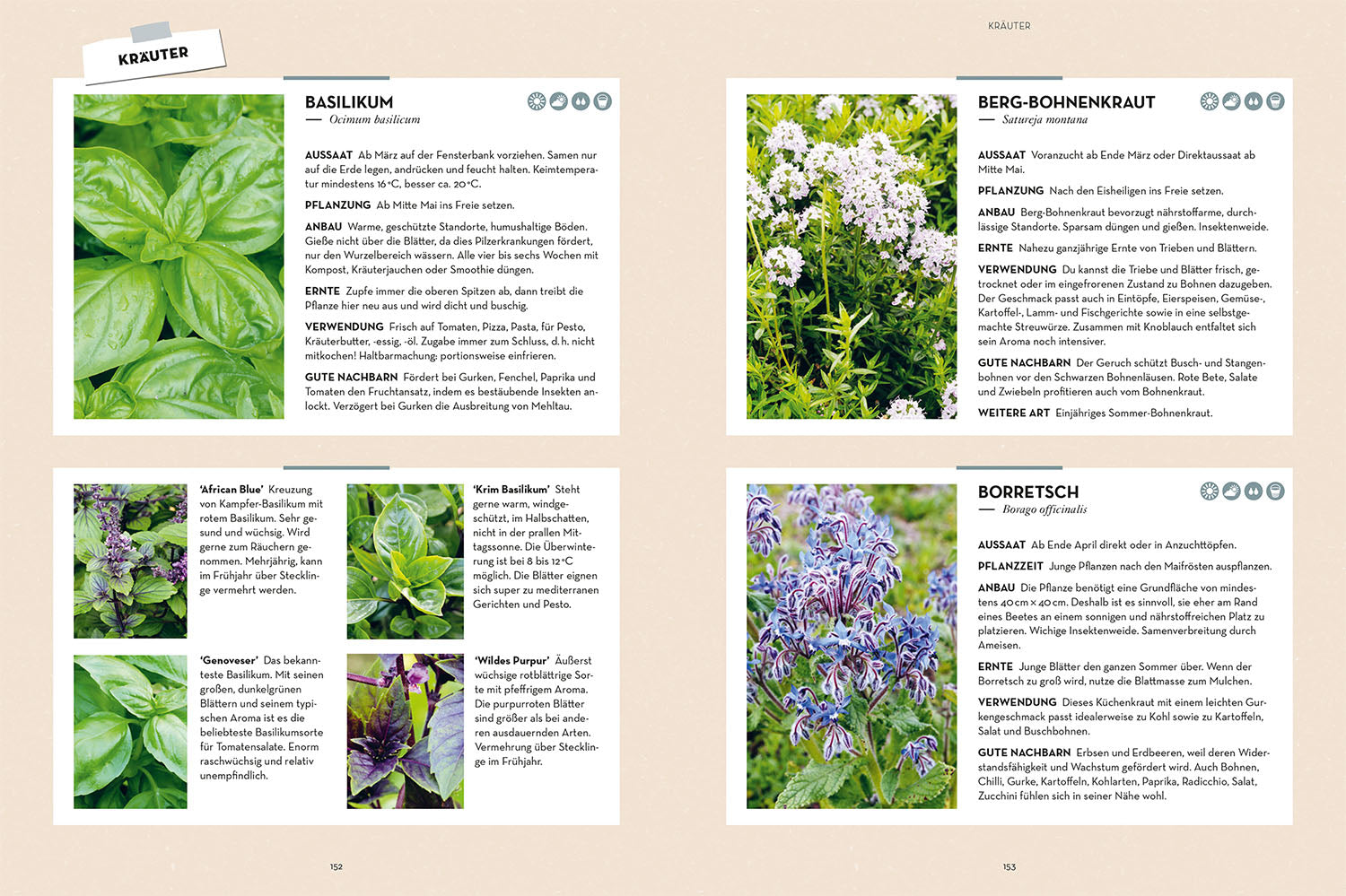 Selbstversorgung aus Garten und Natur