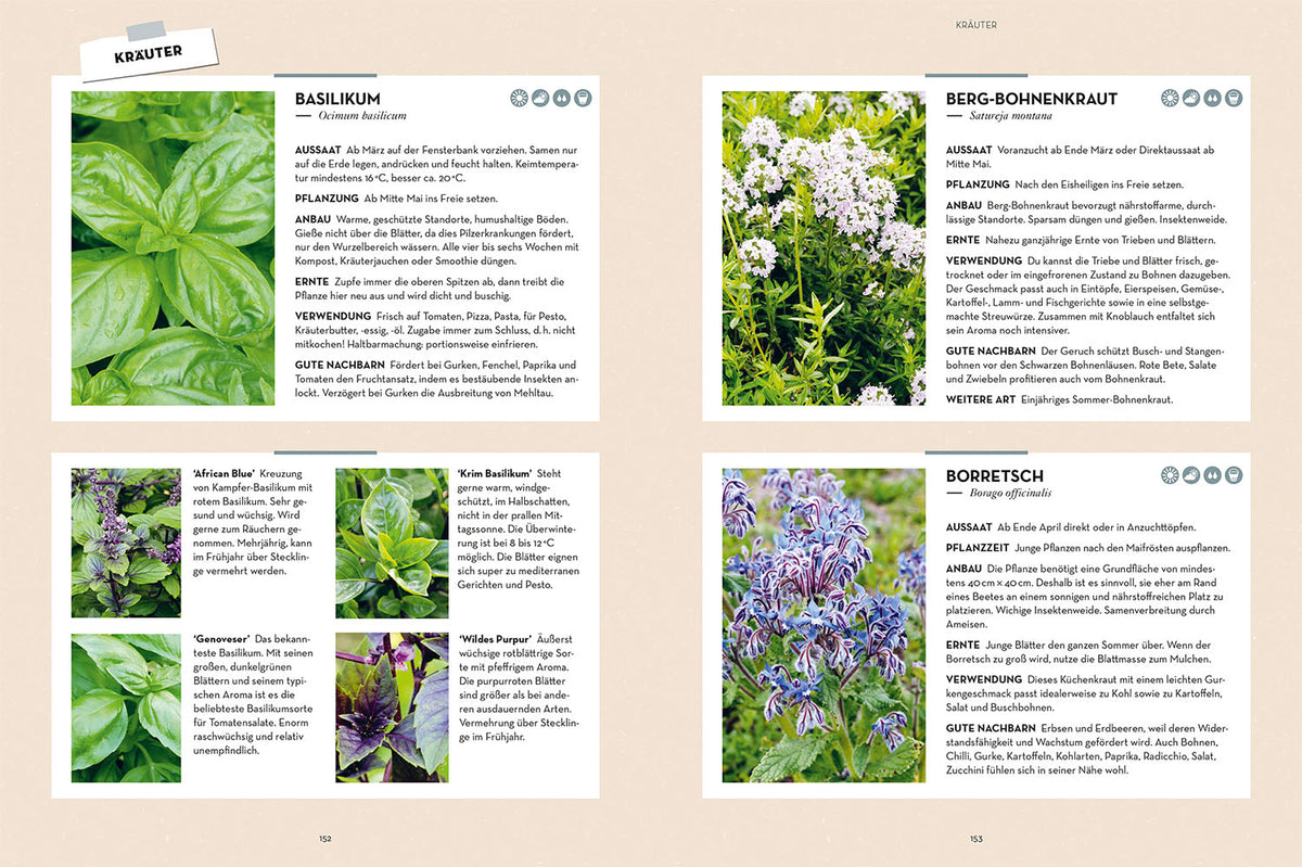 Self-sufficiency from garden and nature