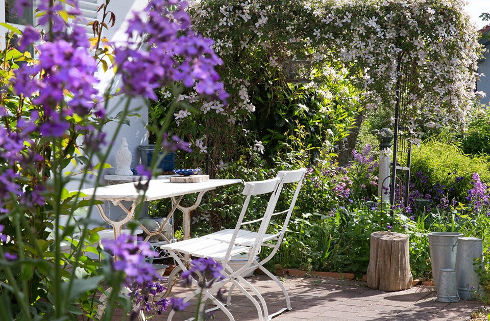 Mehr Artenvielfalt in deinem Garten