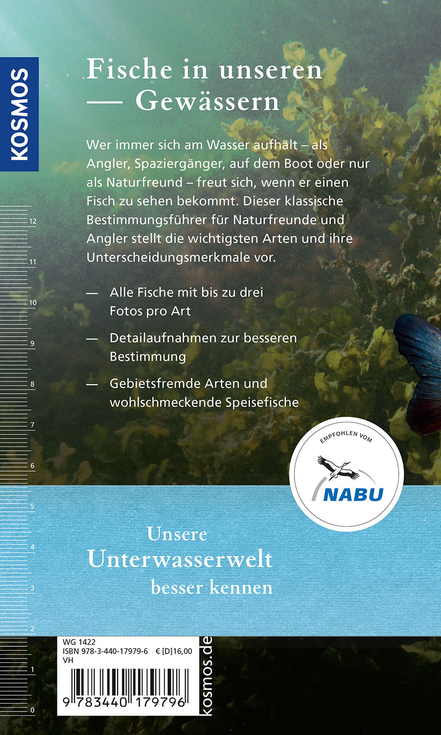 Welcher Fisch ist das?