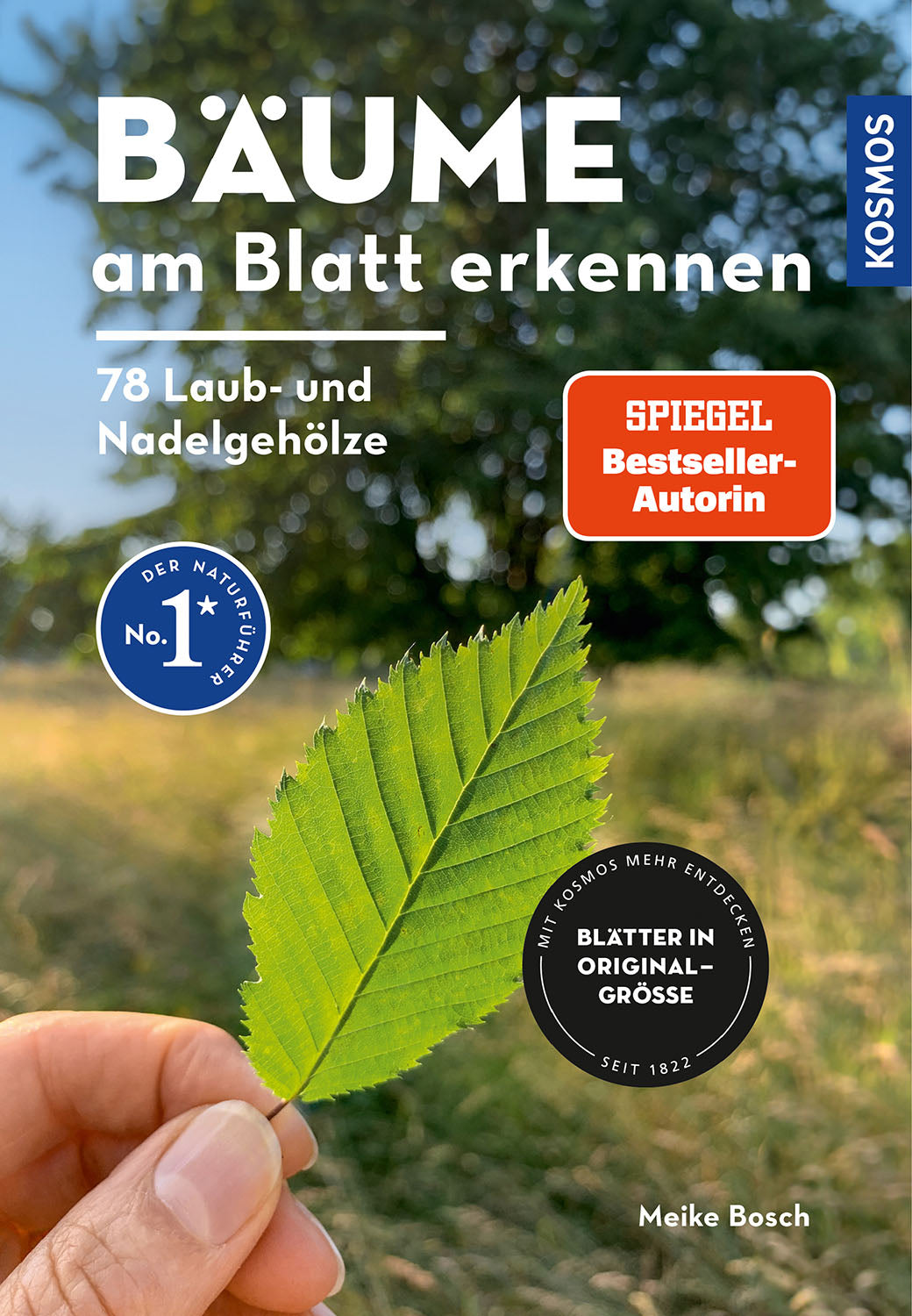 Recognizing Trees by Their Leaves - 78 Deciduous and Coniferous Trees. Leaves in Original Size