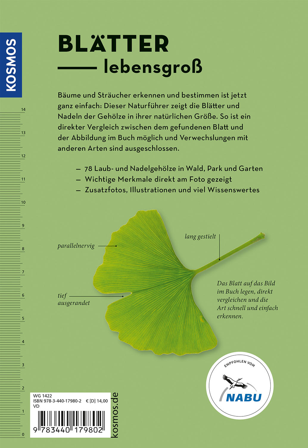 Bäume am Blatt erkennen - 78 Laub- und Nadelgehölze. Blätter in Originalgröße