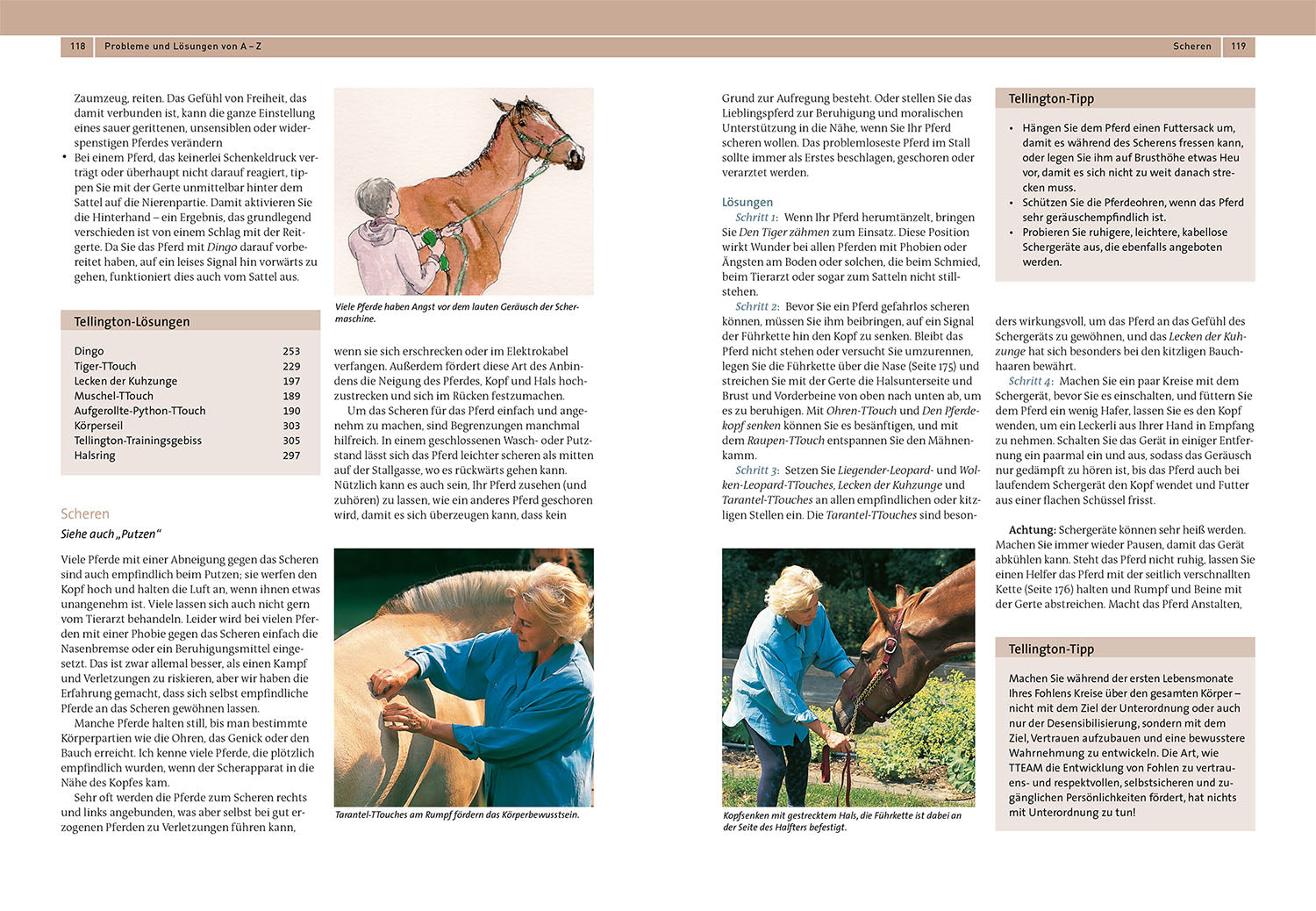 Tellington Training für Pferde
