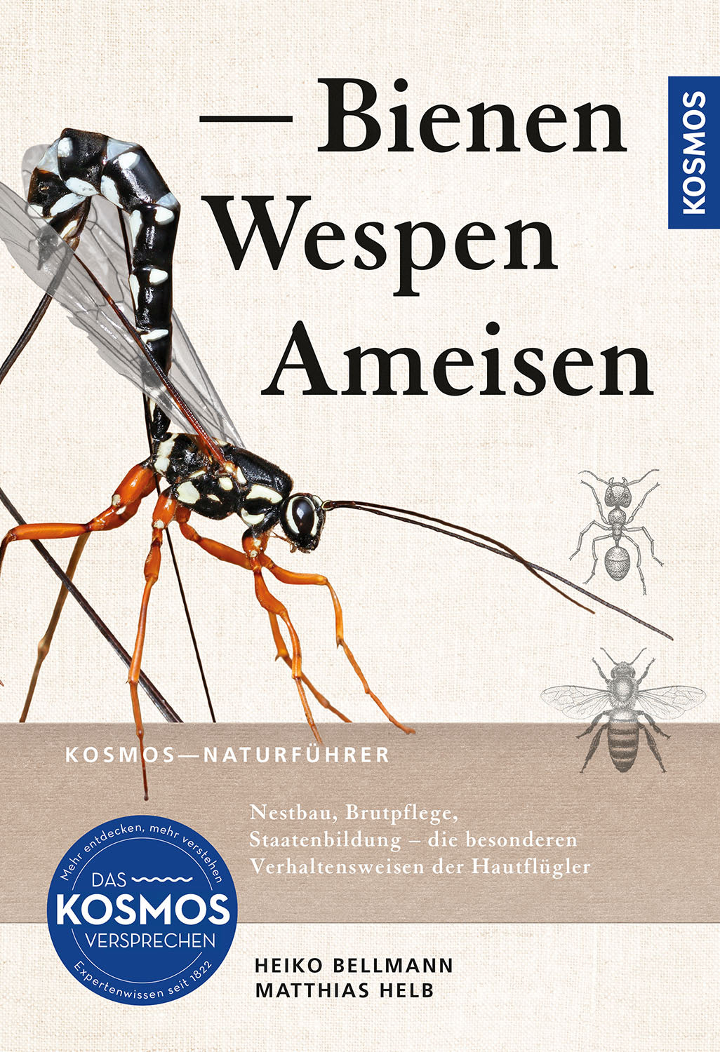 Bees, wasps, ants