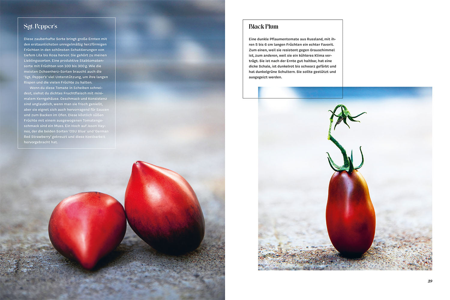 Verrückt nach Tomaten