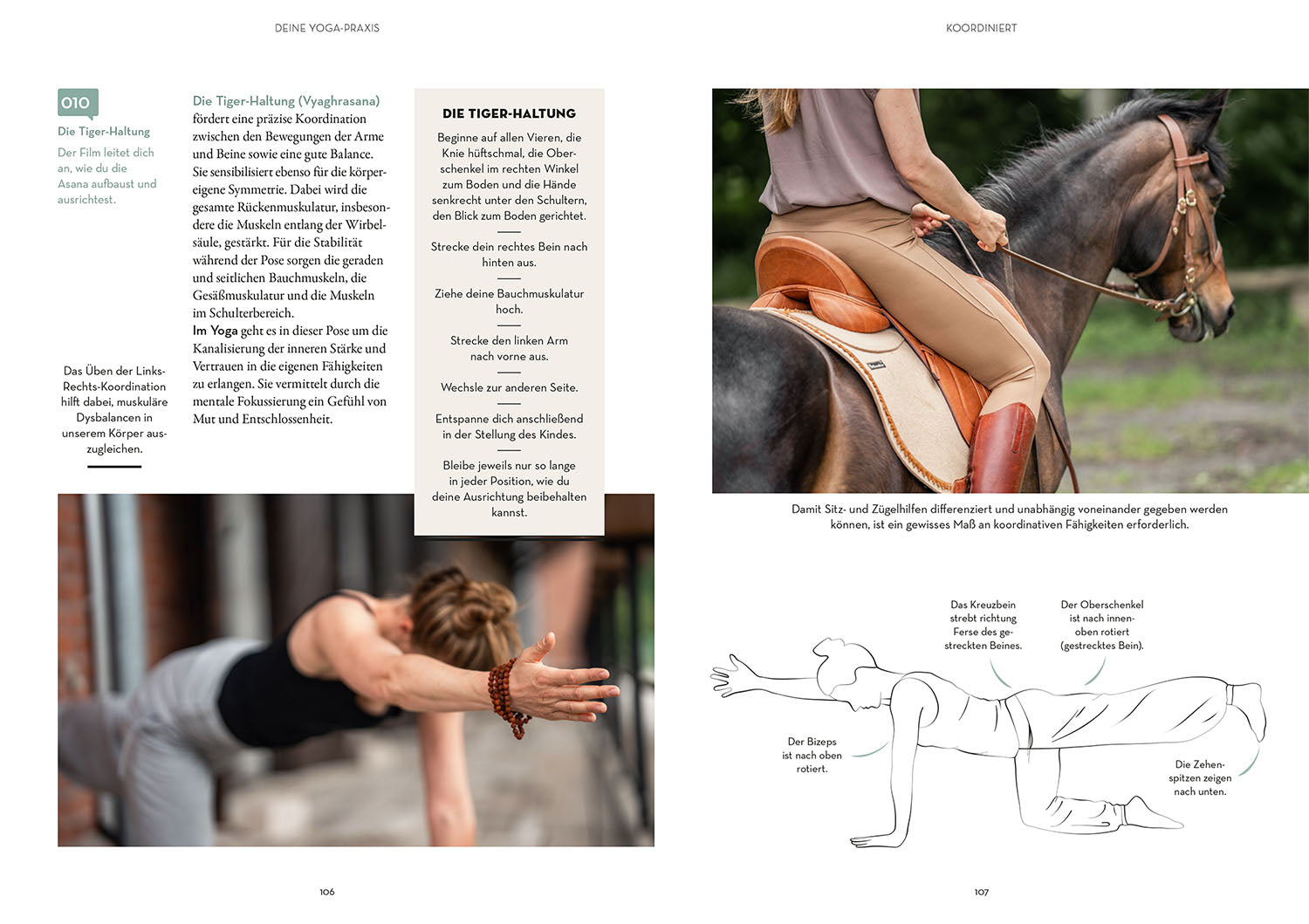 Reiten in Balance mit Yoga