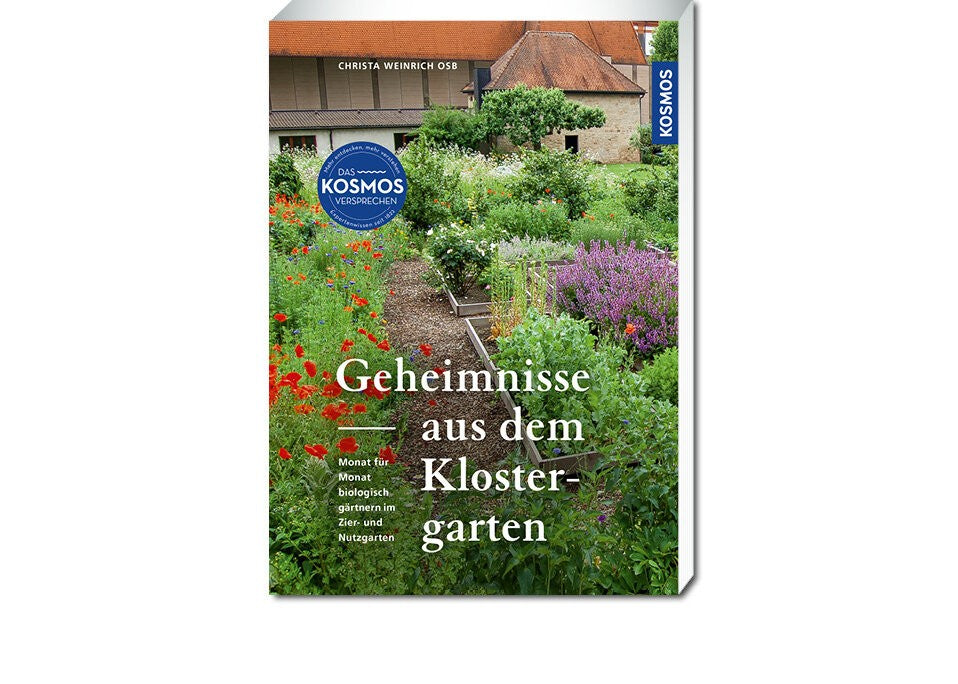Über die Autorin