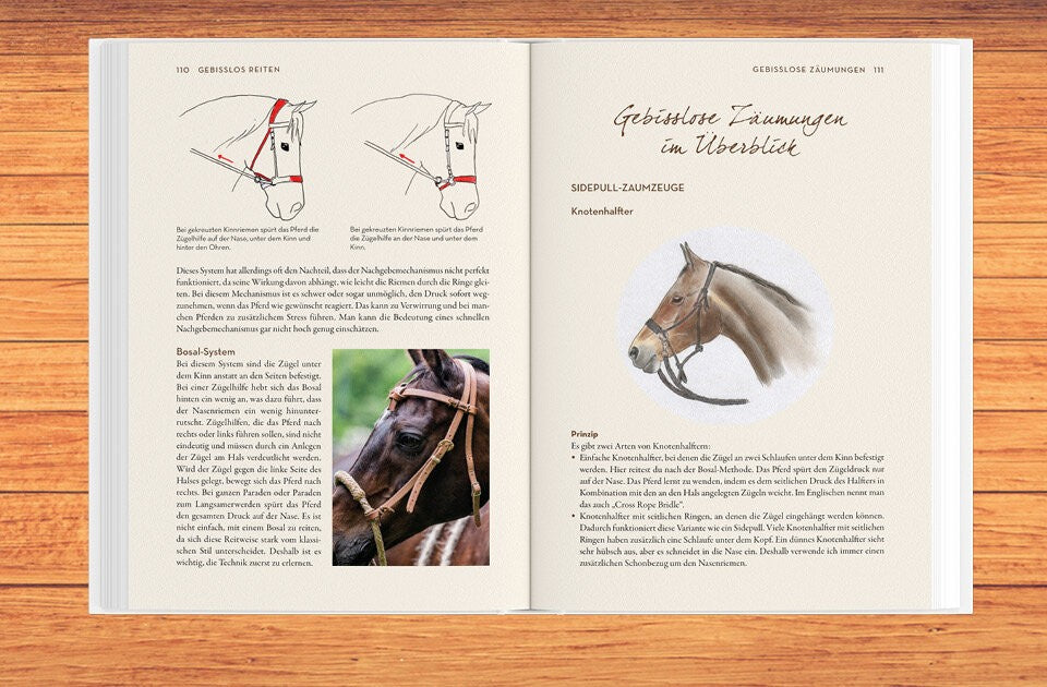 Der Weg zum gebisslosen Reiten