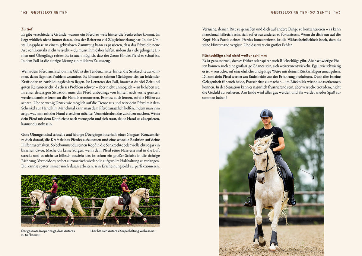Gebisslos Reiten
