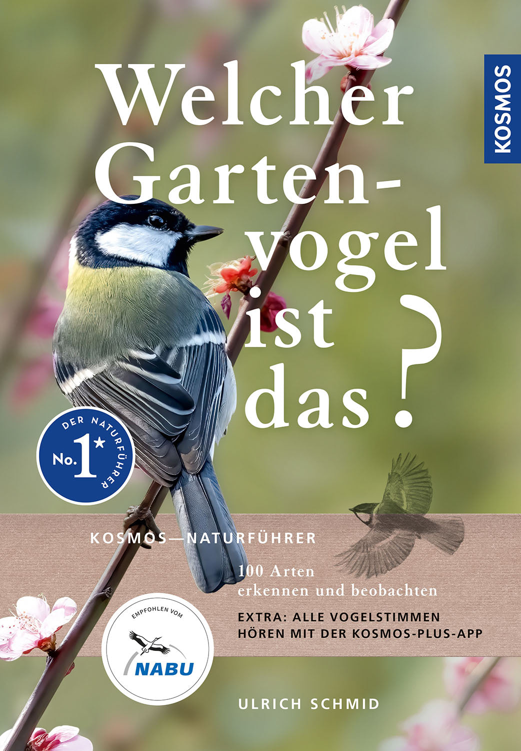 Which garden bird is that?