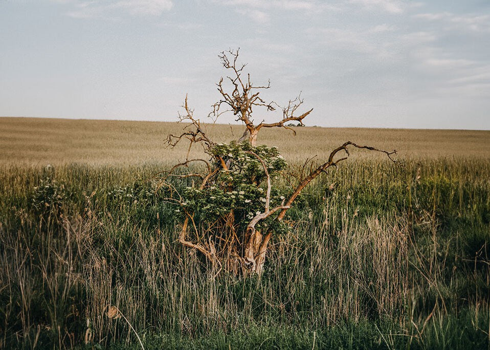 Dein Naturrhythmus