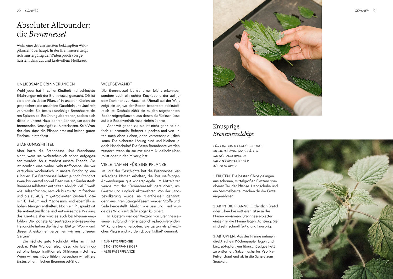 Kruut - Wild Plants in Everyday Life