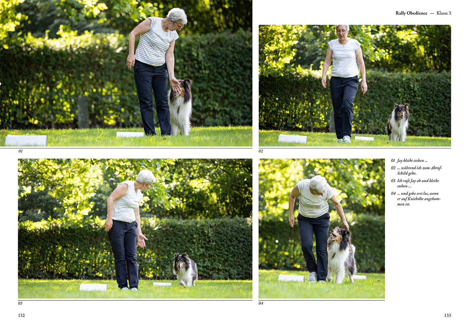 Rally Obedience