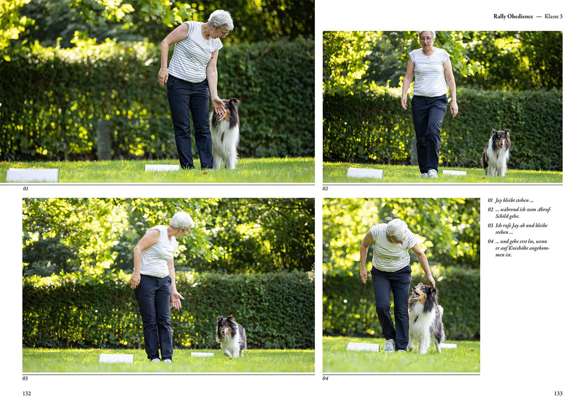 Rally Obedience