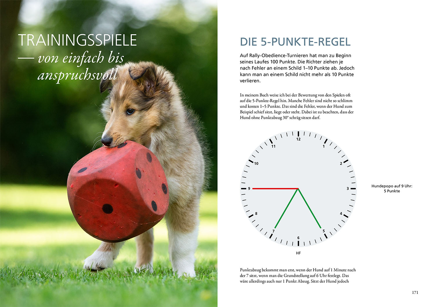Rally Obedience