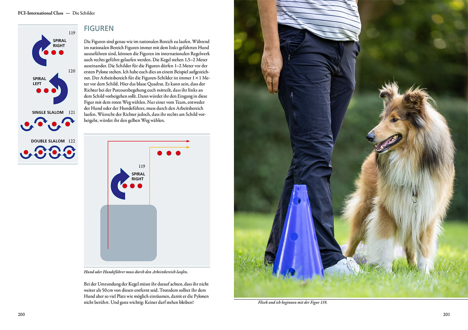 Rally Obedience