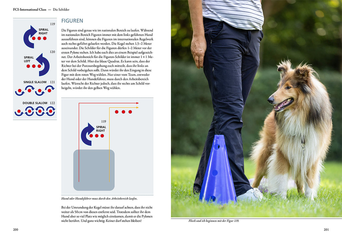 Rally Obedience